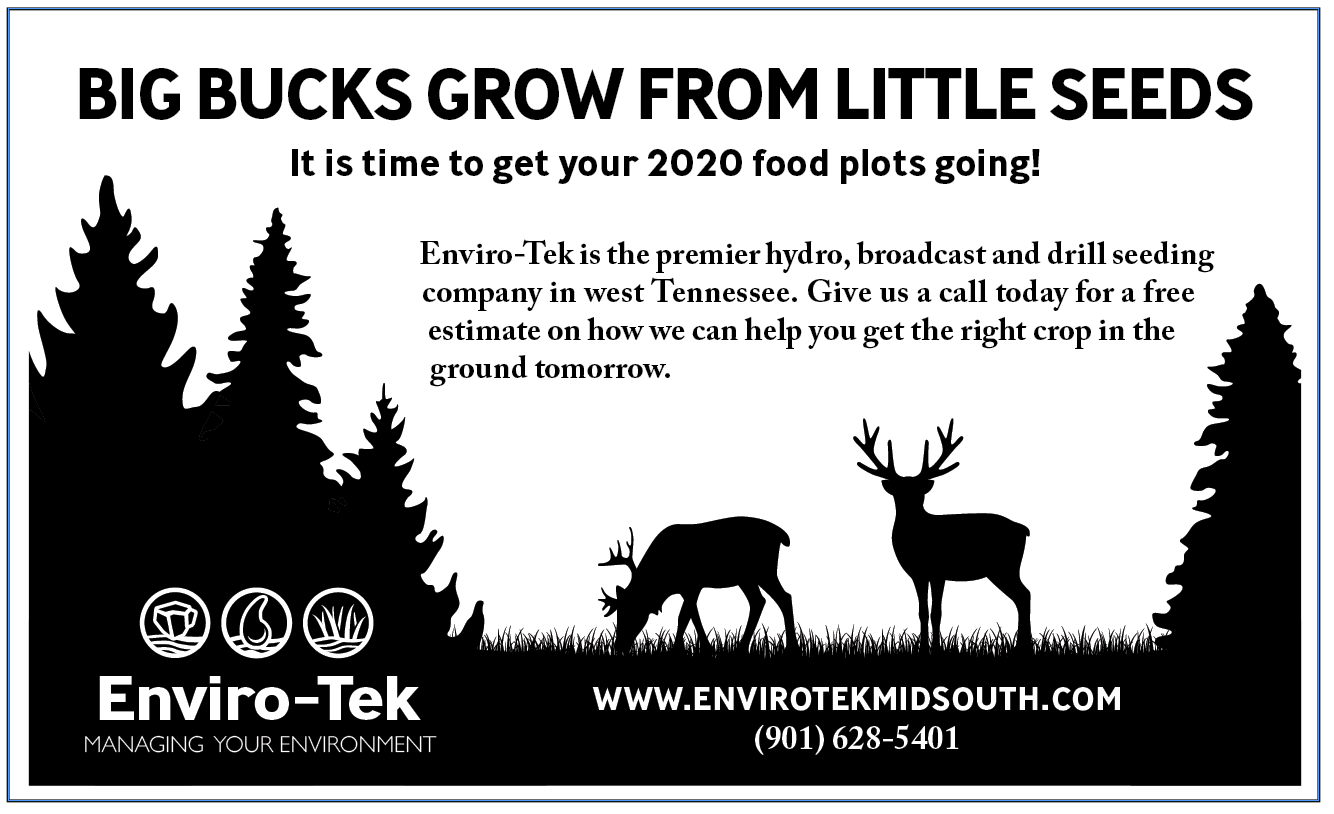 Screen Shot 2020-08-22 at 10.11.15 PM